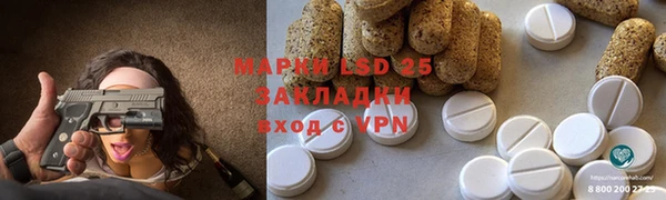 ECSTASY Богданович