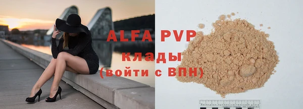 ECSTASY Богданович