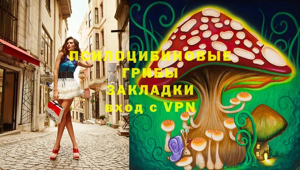 гидра Бронницы