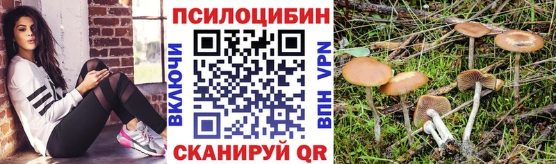 Галлюциногенные грибы Magic Shrooms  Луховицы 